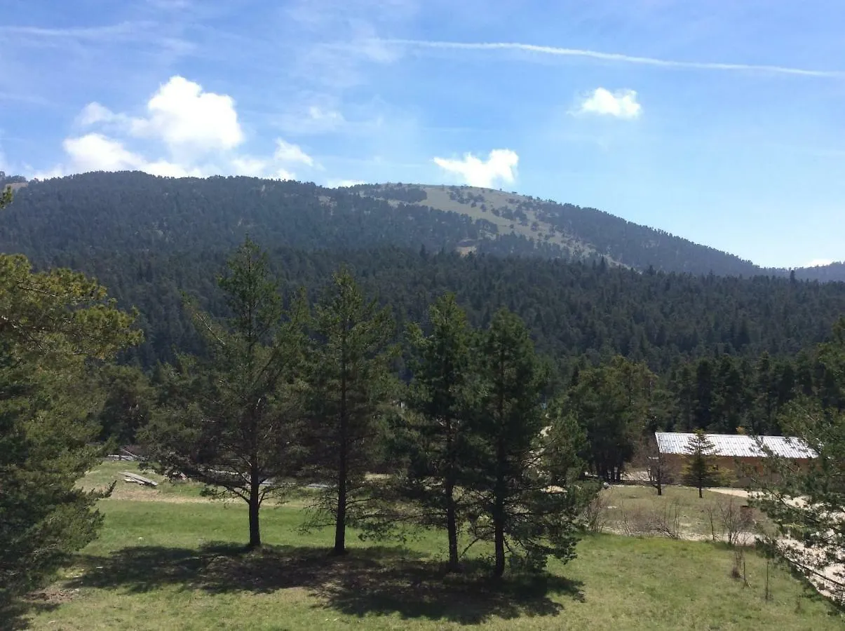 Villa Le Cytise à Caille Hébergement de vacances